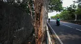 Sejumlah kendaraan melintas di samping pepohonan yang tertanam di beberapa ruas jalan di Jakarta, Rabu (30/4/2025). (Liputan6.com/Angga Yuniar)