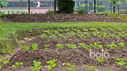 Aksi seorang petenis saat berlatih mematangkan strategi guna mengikuti babak selanjutnya pada ajang Combiphar Tennis Open 2017 di Hotel Sultan, Jakarta. Senin (13/2/2017). (Bola.com/Nicklas Hanoatubun)