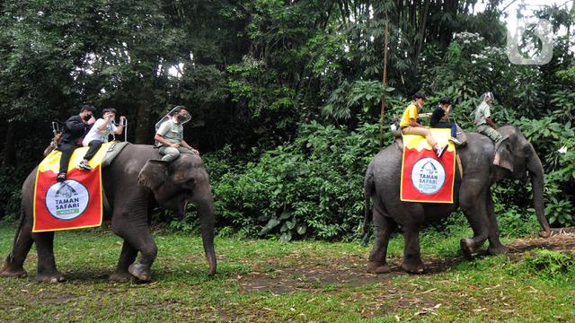 Taman Safari Indonesia Ramai Dikunjungi Wisatawan