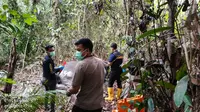 Menhut Respons Kasus Gajah Mati Mengenaskan di Pelalawan Riau: Kita Tidak Akan Kasih Ampun