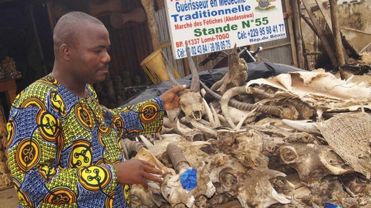 Menengok pasar jimat para dukun di Afrika