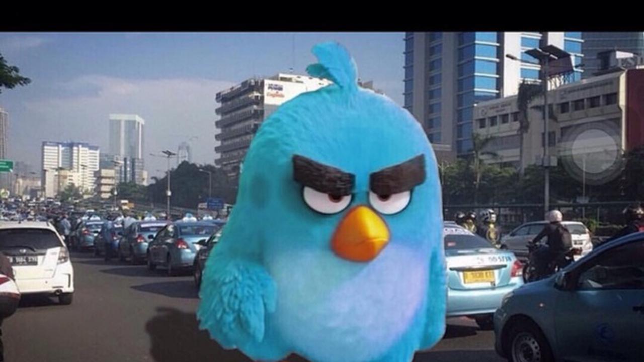 Angry Bird
