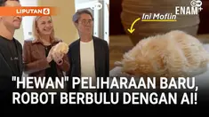 Robot berbulu yang dilengkapi kecerdasan buatan atau AI ini bernama Moflin. Menurut pengembangnya di Jepang, perilaku Moflin berkembang sesuai perlakuan penggunanya.