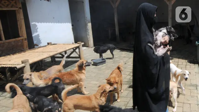 FOTO: Kedekatan Hesti Sutrisno dengan Anjing-Anjing Liar Peliharaannya