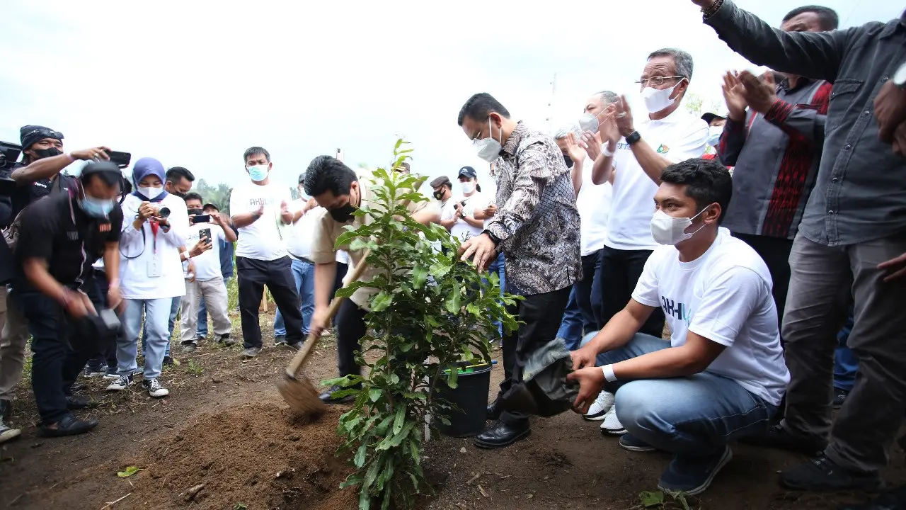 Inalum Bersama Menteri BUMN Lakukan Penghijauan di Kawasan Danau Toba