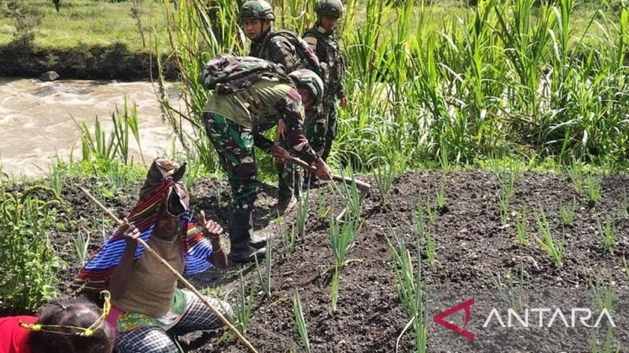 Bukan Sekadar Jaga Keamanan, Satgas Yonif 521/DY Perkuat Ketahanan Pangan Yahukimo dengan Bibit Hortikultura