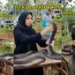 Aksi berani wanita berhijab perlakukan ular kobra bak kucing bikin ngeri. (Sumber: YouTube/BagusKomaraTV)