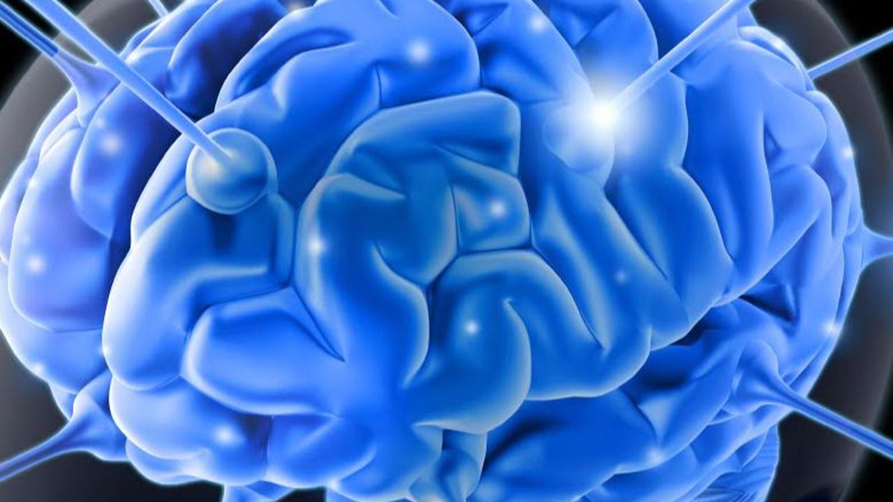 Namun, hanya sedikit manusia di dunia ini yang tercatat memiliki IQ di atas 200.