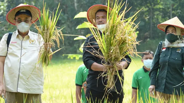 Komisi IV DPR RI bersama Kementerian Pertanian (Kementan) mengunjungi lokasi cetak sawah baru di Desa Sendangsari, Kecamatan Pengasih Kabupaten Kulon Progo DIY pada hari Sabtu (10/4/2021).