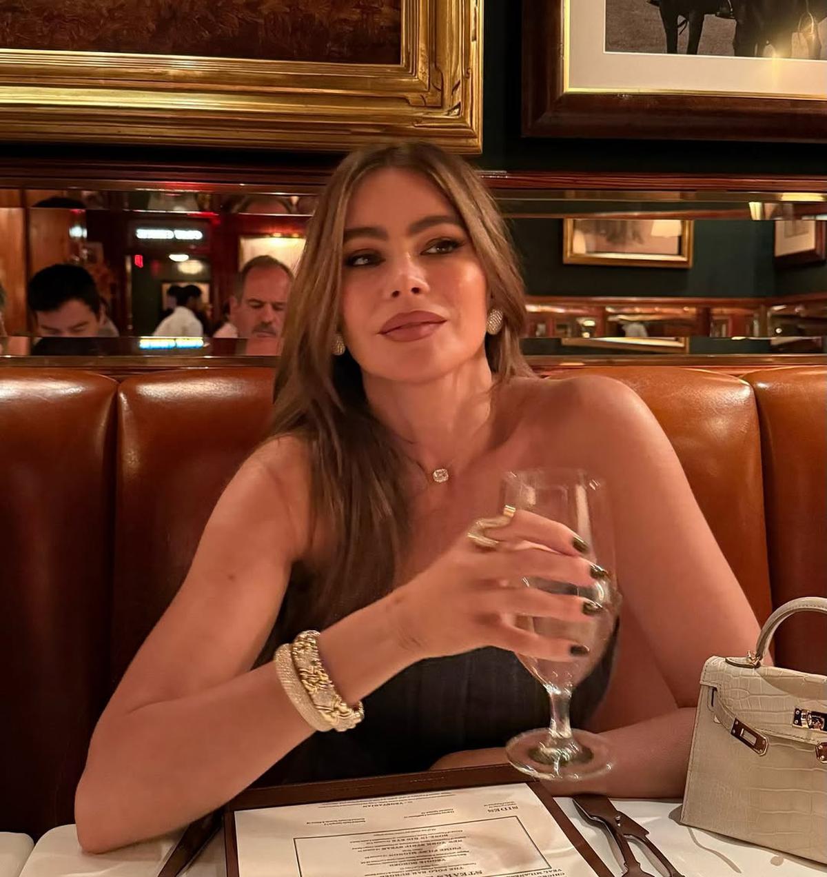Profil Sofia Vergara yang Dikabarkan Jalin Hubungan dengan Pebalap F1 Lewis Hamilton