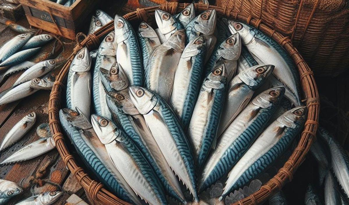 2. Ikan Kembung