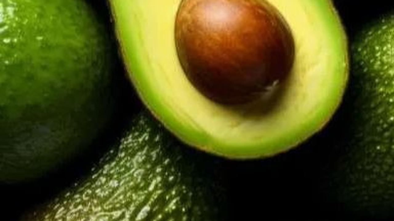 <b>Alpukat</b>