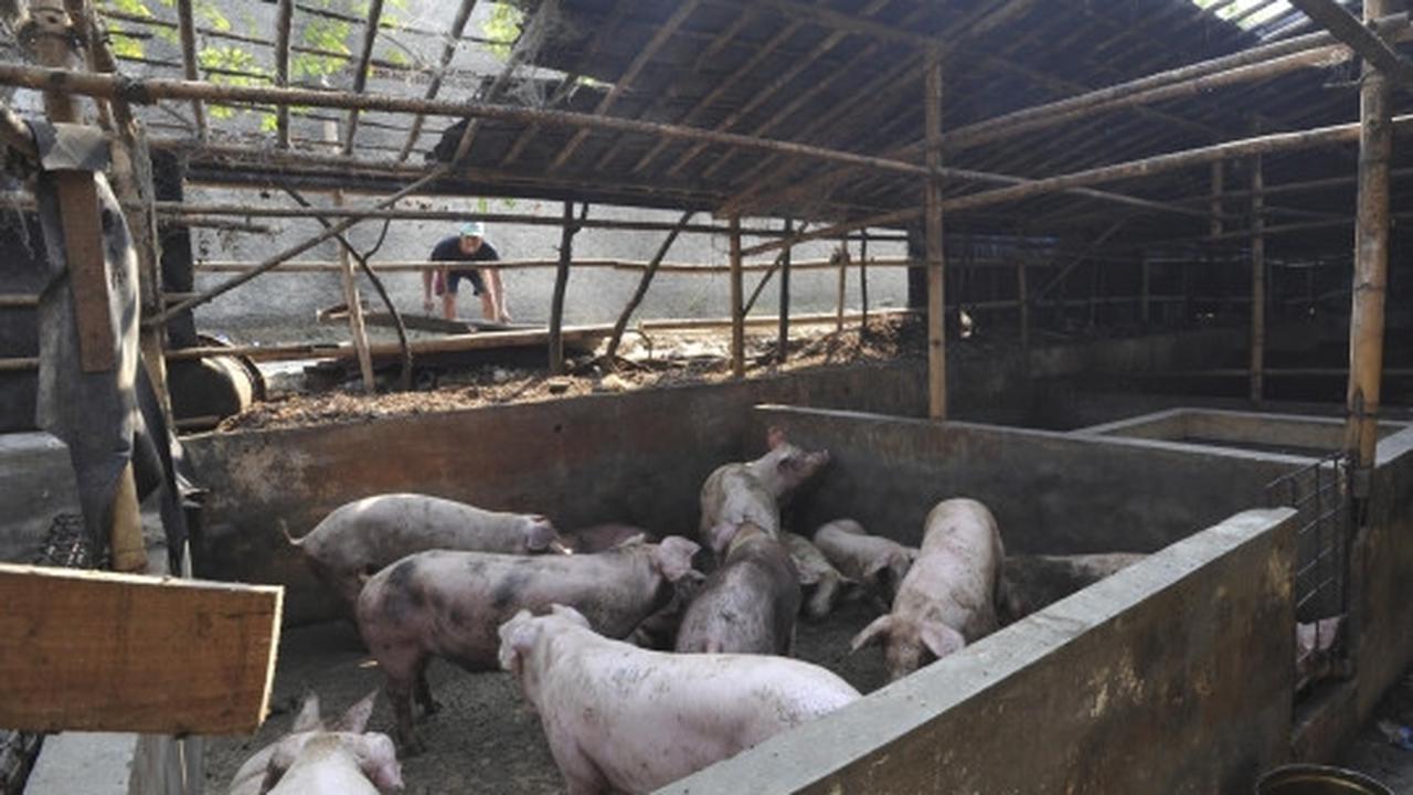 Pembongkaran bangunan liar di bantaran Sungai Cisadane