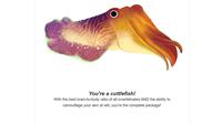 Hasil cuttlefish di kuis Hari Bumi di Google Doodle.