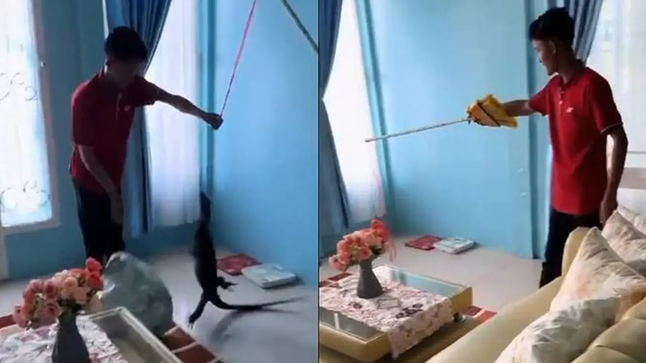 Serba Bisa, Momen Kurir Bantu Tangkap Biawak Panen Pujian