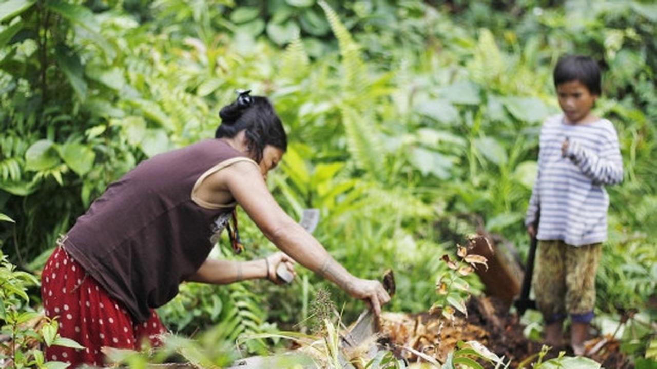 Menengok kehidupan tradisional suku Mentawai