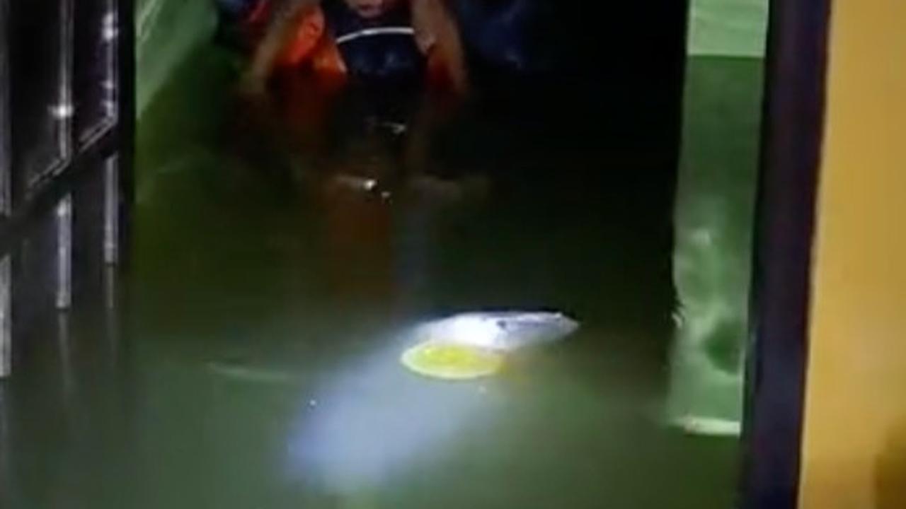 Momen Haru Tim SAR Berhasil Evakuasi Balita Korban Banjir di Demak, Tiga Hari Bertahan di Rumah