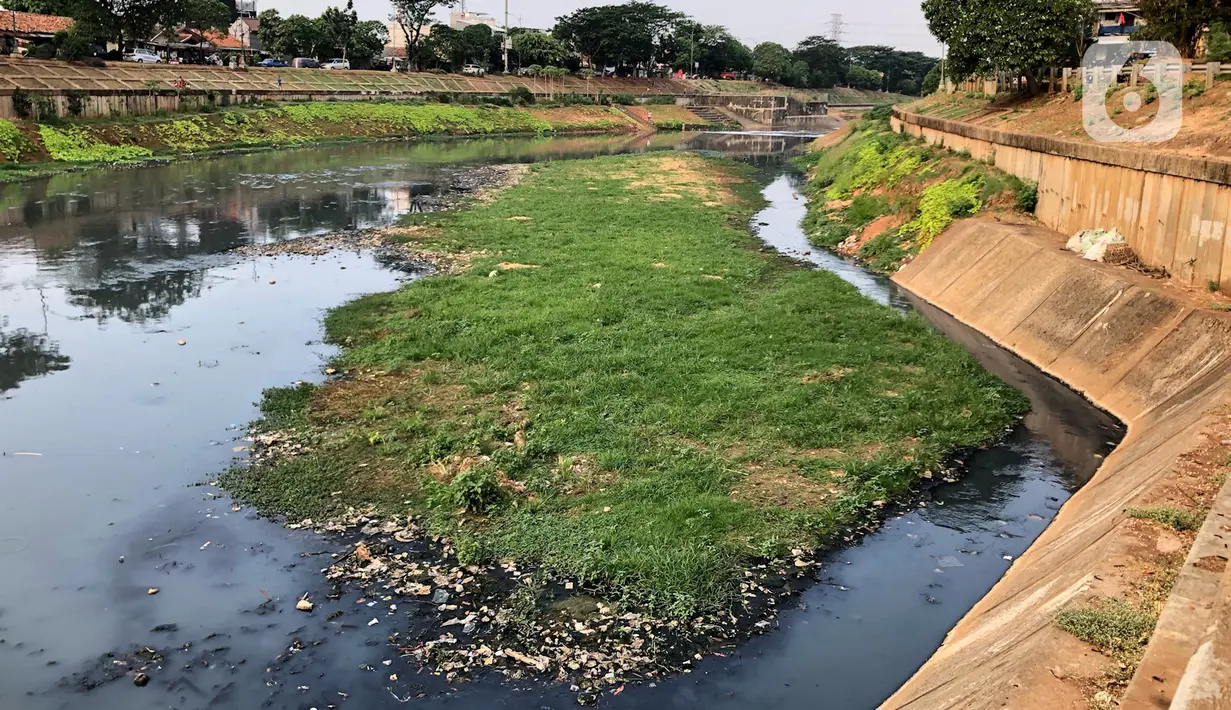 Suasana aliran Kanal Banjir Timur (KBT) yang mengering di kawasan Cipinang Muara, Jakarta, Jumat (11/9/2020). Curah hujan yang rendah selama musim kemarau menyebabkan debit air di kawasan tersebut berkurang sehingga bantaran kanal mengalami kekeringan. (Liputan6.com/Immanuel Antonius)