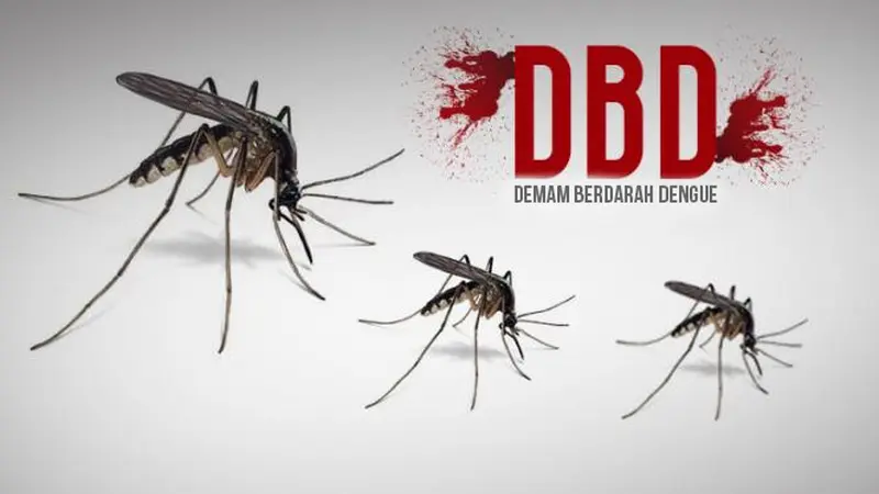 Ilustrasi Demam Berdarah