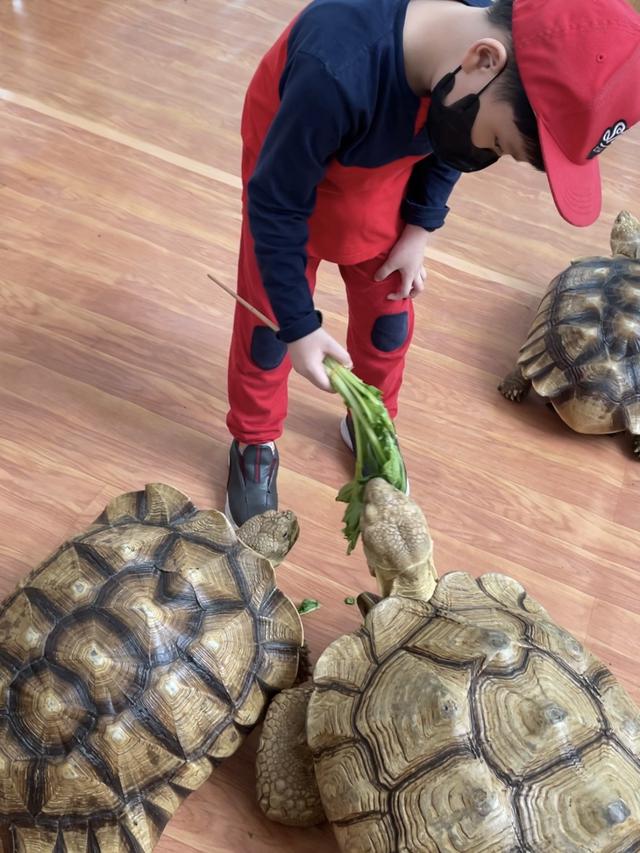 Summarecon Mall Bekasi Gelar Planimals Exhibition 2022, Ada Pameran Hewan Peliharaan dan Tanaman Hias