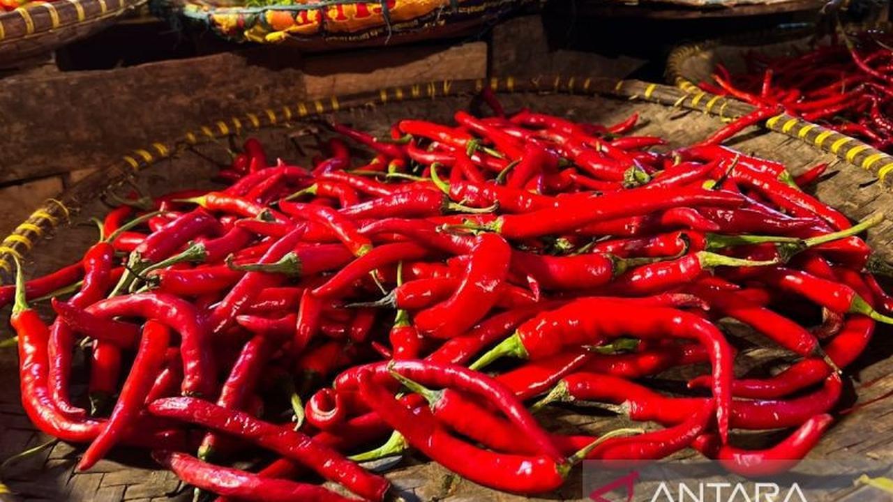 Terbaru! Harga Cabai Rawit Turun Drastis, Bapanas Catat Fluktuasi Harga Pangan Nasional Lainnya