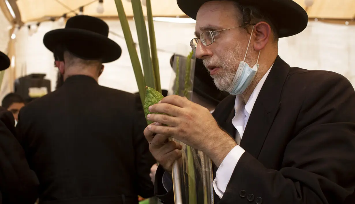 Pria Yahudi ultra-Ortodoks memeriksa buah jeruk etrog yang akan digunakan dalam ritual Sukkot di Yerusalem, Senin (20/9/2021). Ritual Sukkot merupakan perayaan pengucapan syukur bagi Israel atas hasil panen. (AP Photo/Maya Alleruzzo)