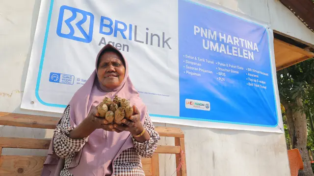 Dari Anggota PNM Mekaar Naik Kelas jadi BRILink Agen