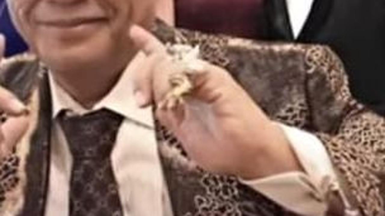 Megah dan Mewah, Pernikahan Anak Bungsu Hotman Paris Dihadiri Sederet Artis dan Pejabat