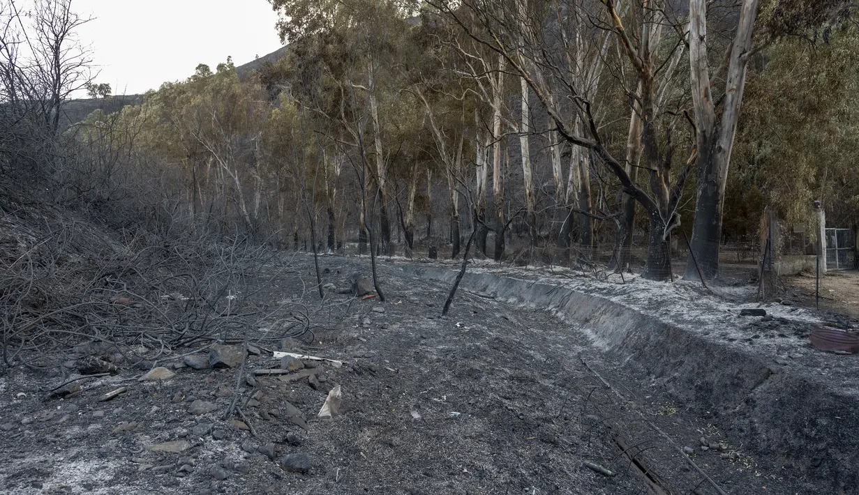 Pulau Sisilia di bagian selatan Italia telah dilanda kebakaran hutan yang menewaskan tiga orang lanjut usia, kata presiden regionalnya. (Photo by Giovanni ISOLINO / AFP)