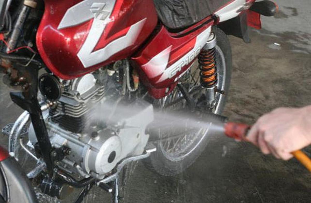Motor Sering Dikencingi Kucing? Ini Cara Ampuh Menghilangkan Bau Pesing
