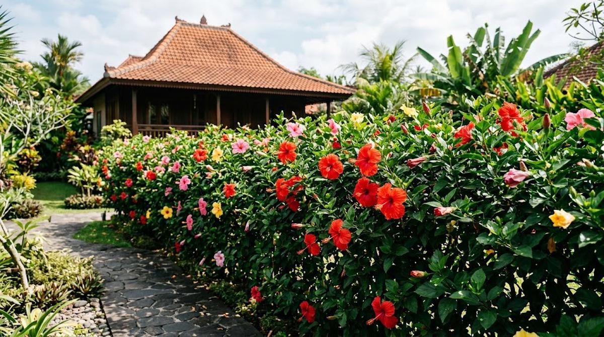 Tanaman Pagar Berbunga Sepanjang Tahun (AI Generated)