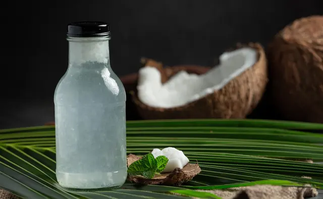 Pengembangan Komoditas Kelapa