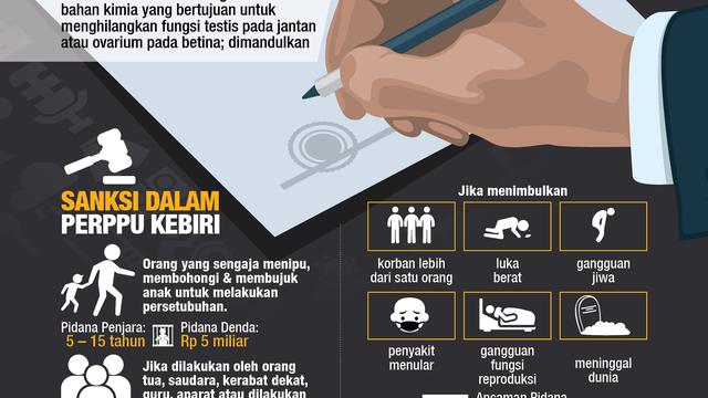 infografis hukuman kebiri