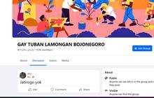 Diusut Polisi, Anggota Grup 'Gay Tuban Lamongan Bojonegoro' Malah Membludak Jadi 11 Ribu