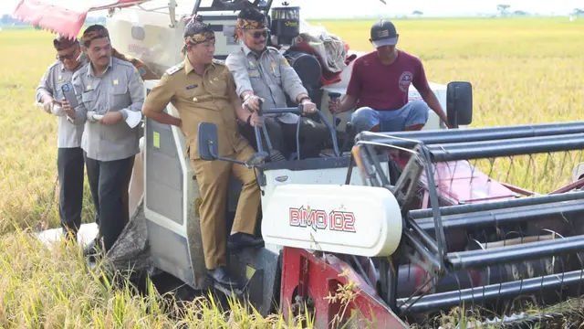 Menteri Pertanian (Mentan) Syahrul Yasin Limpo panen raya perdana padi awal 2023 di Kabupaten Karawang, Jawa Barat. Daerah ini merupakan salah satu lumbung produksi beras nasional. (Dok Kementan)