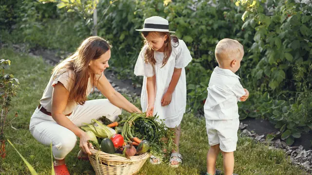 Liburan di Rumah Bisa Menyenangkan dengan Berkebun Bersama