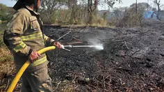 30 Hektare Lahan di Rorotan Terbakar, Diduga Sengaja Dibakar