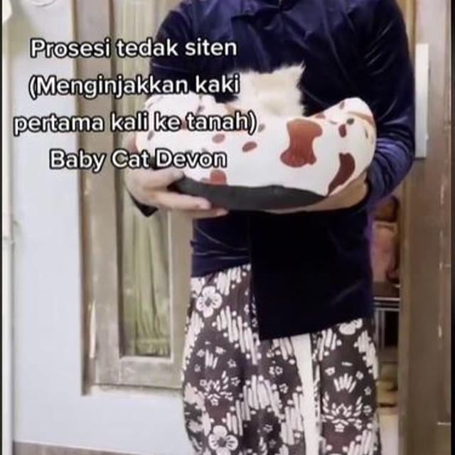 Unik, Acara Tedak Siten Kucing dengan Menu Makanan Lengkap