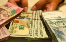 Untung Rugi Devisa Hasil Ekspor Disimpan 100 Persen di Dalam Negeri