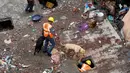 Petugas menggunakan anjing pelacak untuk mencari korban di lokasi ambruknya bangunan perumahan di pinggiran Mumbai, India, Minggu (31/7). Sebuah bangunan perumahan ambruk akibat hujan lebat dan menewaskan sembilan orang. (REUTERS/Shailesh Andrade)