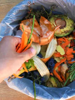 Ilustrasi sampah makanan. (Unsplash)