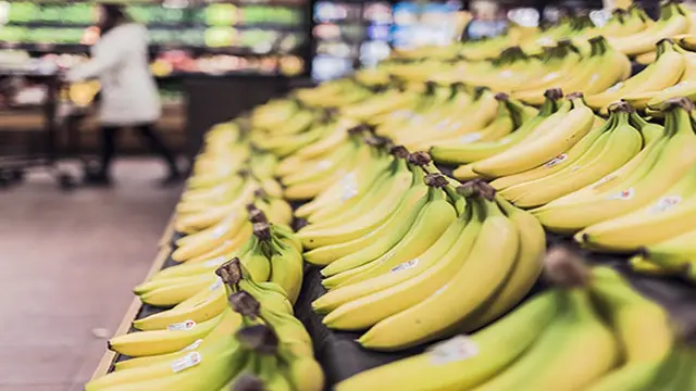 Ilustrasi pisang