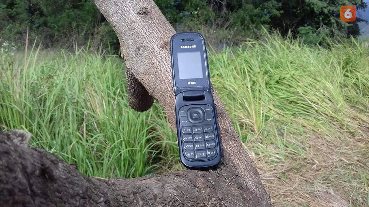 Ketiadaan signal