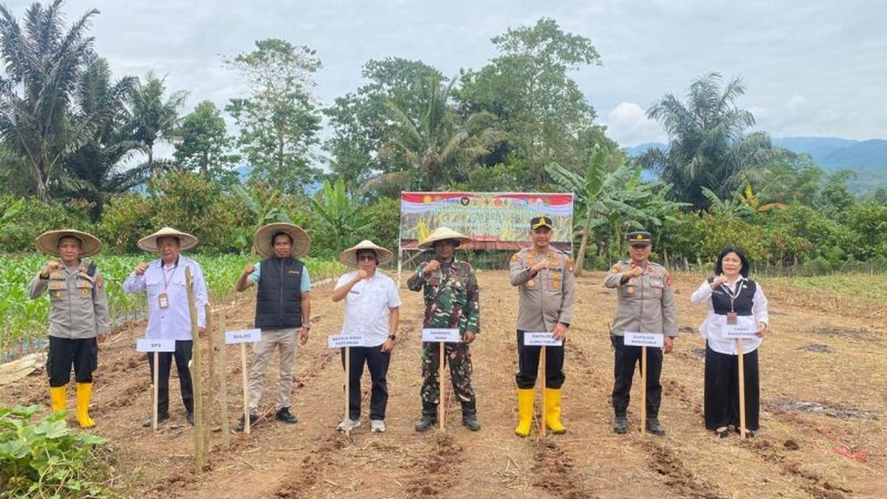 Fakta Unik Kolaborasi Bulog-Polres Lutim: Tanam Jagung Serentak Dukung Swasembada Pangan Nasional