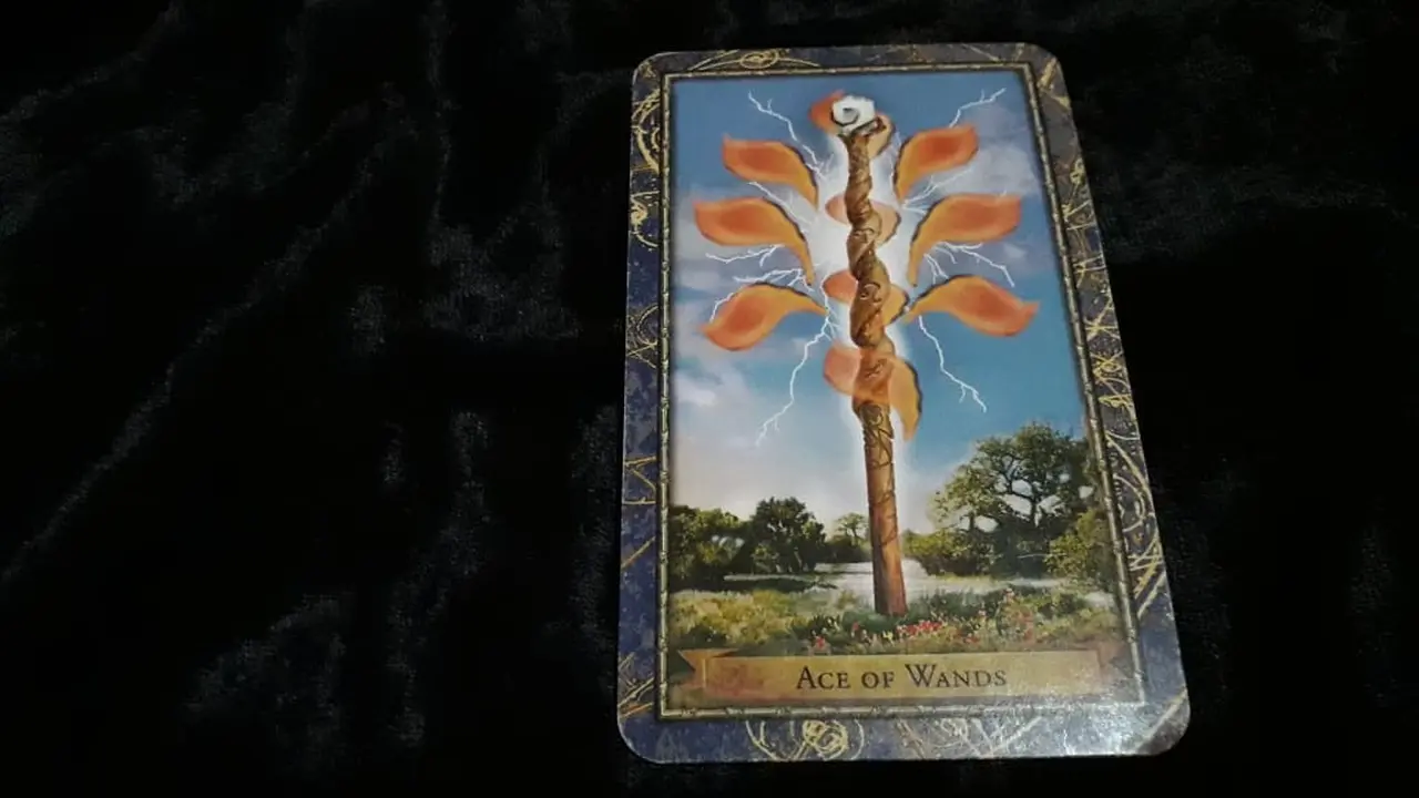 Tarot Hari Ini