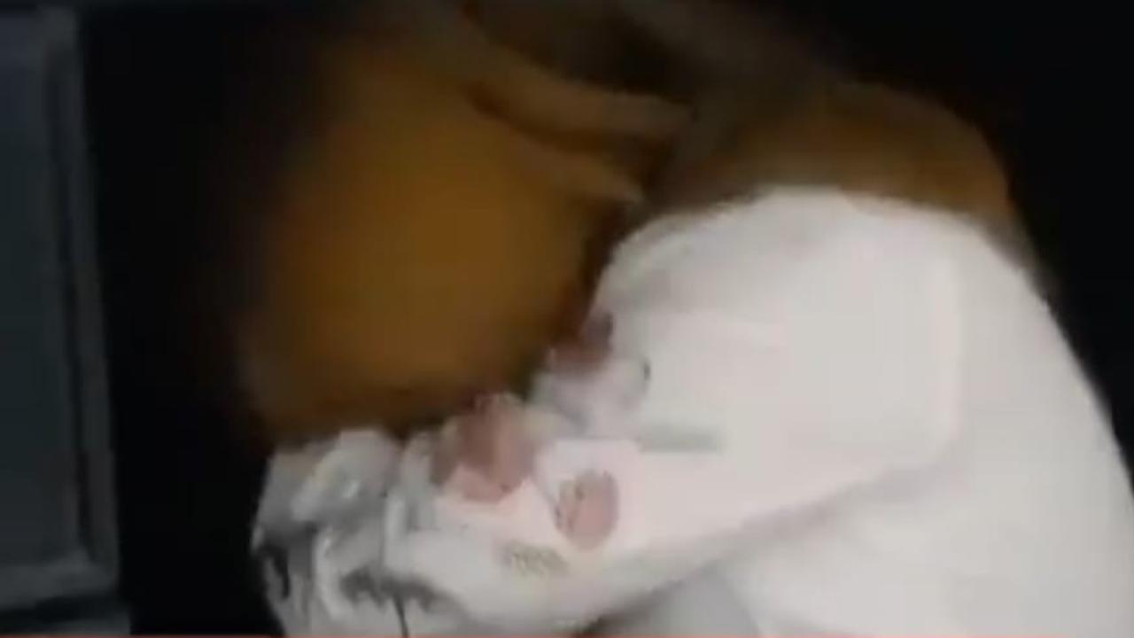 Viral Video Camat Sembunyikan  Perempuan di Bawah Meja