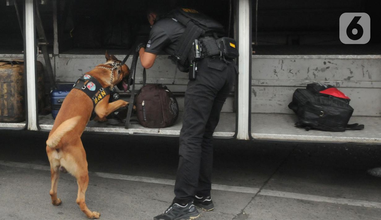 <p>Petugas mengerahkan anjing pelacak K9 BNN untuk memeriksa bagasi bus di Terminal Kampung Rambutan, Jakarta, Rabu (27/04/20222). Pemeriksaan dengan anjing pelacak tersebut dilakukan guna mengantisipasi peredaran narkoba di tengah arus mudik menyambut Lebaran atau Hari Raya Idul Fitri 1443 H. (merdeka.com/Arie Basuki)</p>