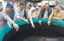 Pemusnahan Ikan Aligator Invasif di Bantul, Upaya Jaga Ekosistem Perairan Lokal