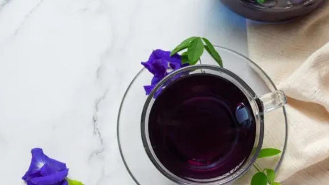 Butterfly Pea