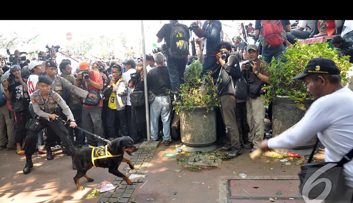 Anjing Polisi terlihat siap menyerang pendemo MK di kawasan patung kuda, Jakarta, Kamis (21/8/2014) (Liputan6.com/Miftahul Hayat)